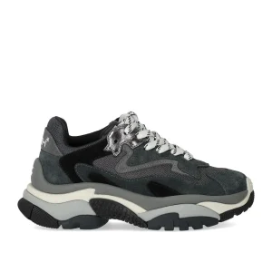 ASH ADDICT GREY SNEAKER
