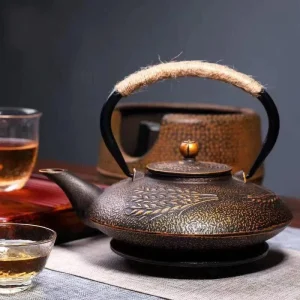 Théière Japonaise en Fonte émaillée